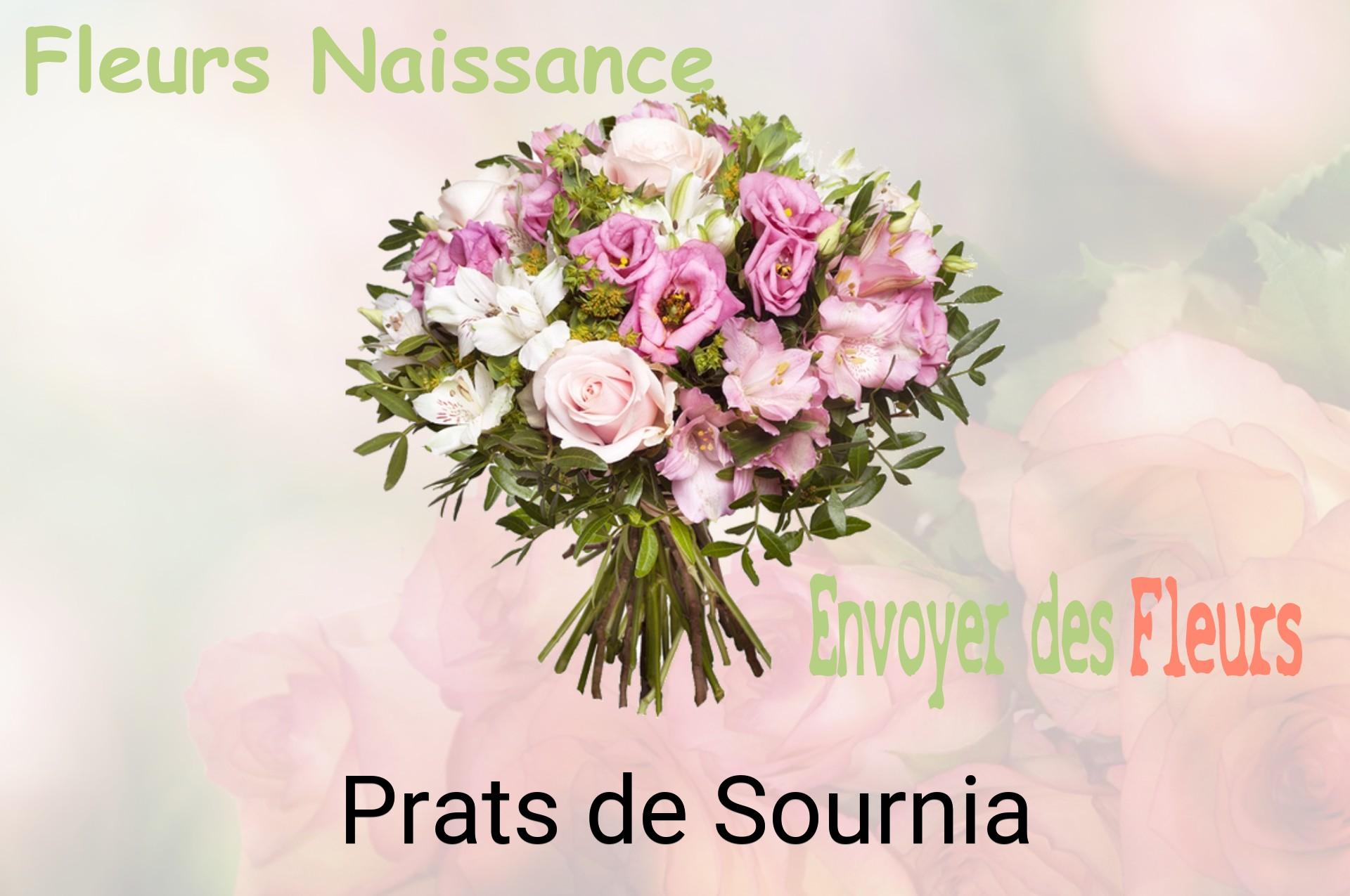 Bouquet de fleurs de naissance livré à Prats-de-Sournia